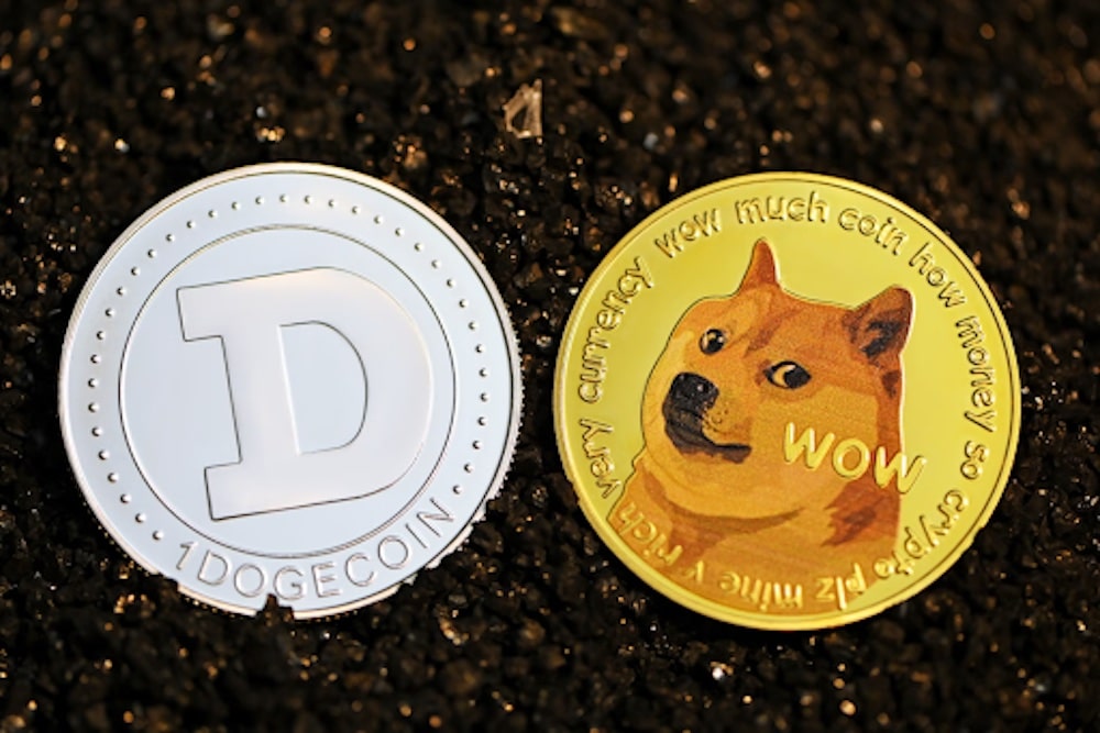 Dogecoin Faces Challenges as Whale Activity and Trading Volumes Drop