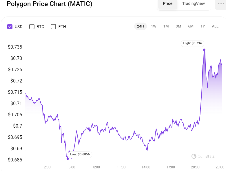 MATIC/USD 24-Hour Chart (Source: CoinStats)