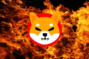 Shiba Inu Burn Rate Surges Over 250%, Destroying About 25 Million Tokens