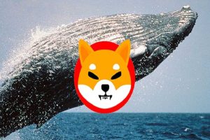 100 Billion Shiba Inu Whale Transfer to Coinbase Crashes Price by 3%