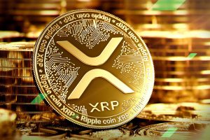 This XRP Whale Accumulates Over 28 Million Tokens Amid Ripple and SEC Lawsuit